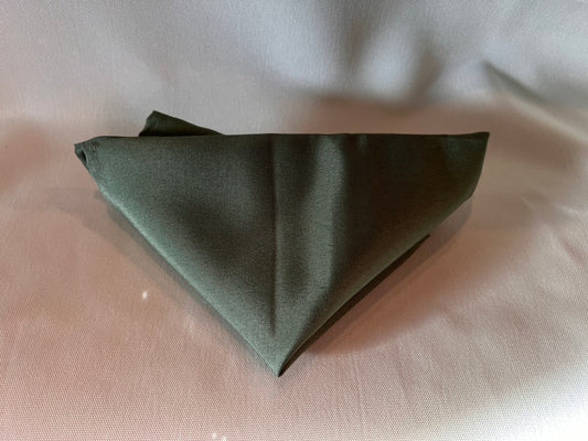 Sage Cloth Napkin